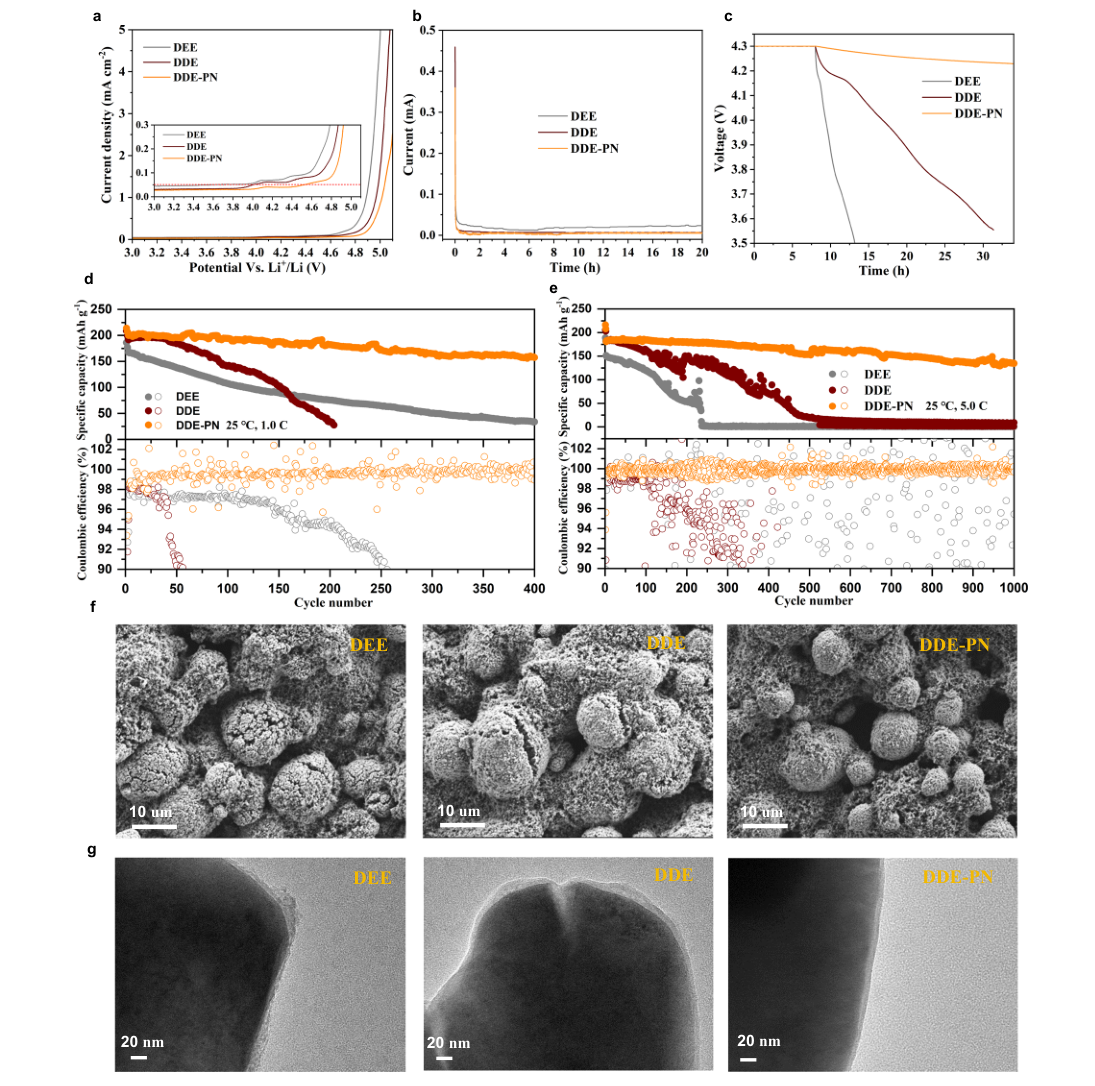 Fig.4 — Li‖Al 셀의 산화안정성(LSV), 4.3V 유지 시 누설전류·자가방전 곡선, 1.0C·5.0C 완전셀 장기 사이클 성능, 순환 후 NCM811 표면 SEM·단면 TEM을 보여주는 원문 그림