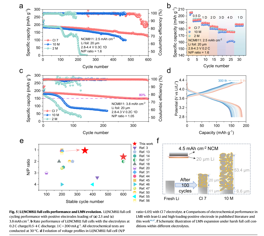 Fig.5 — Cl7·10M·2M 전해질을 쓴 Li‖NCM811 완전셀의 N/P비 1.6·1.05 조건 순환 성능, 속도 성능(0.5D–4D), 순환에 따른 전압 프로파일 변화, 기존 문헌과의 N/P비·안정 사이클수 비교, 100사이클 후 리튬 두께 변화 개념도를 보여주는 원문 그림