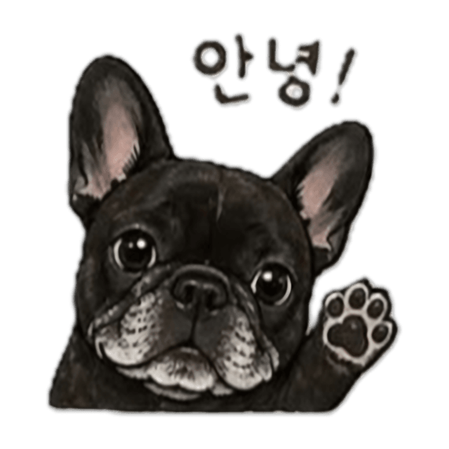 호두 — 검은 프렌치불독