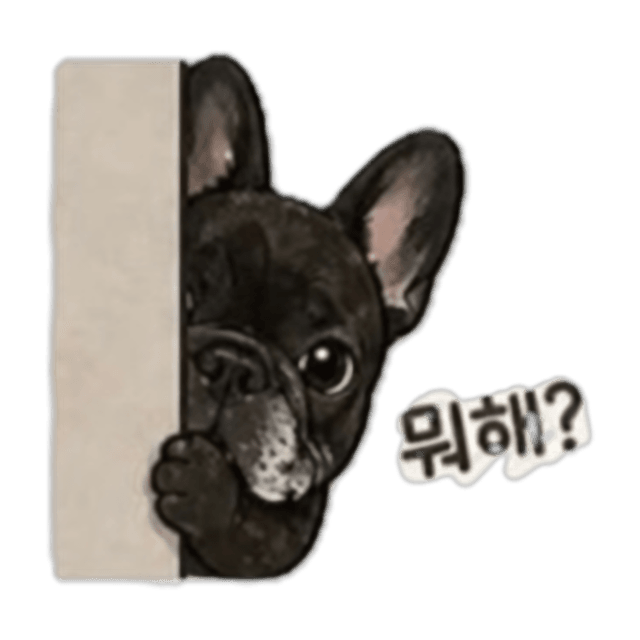 호두 — 호기심